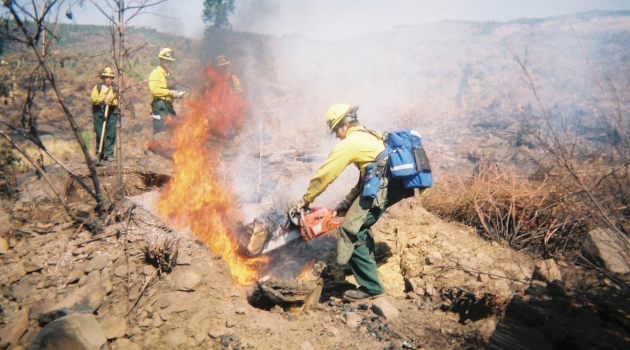 DEC Board member uses a chainsaw to cut a burning stump during a wildfire.