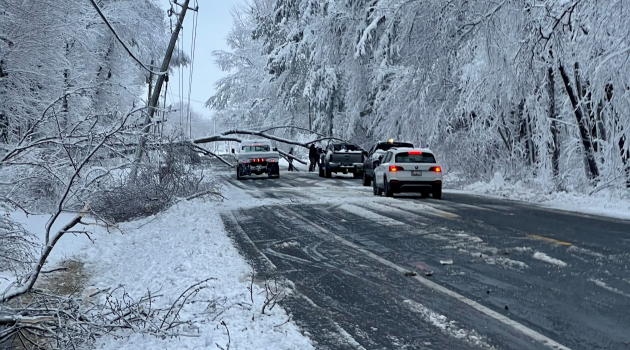 Storm Damage