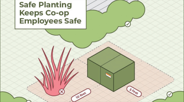 A diagram showing DEC's clearance zone around electrical equipment – 10 feet in front of the equipment, and five feet on either side, behind or from the corners of it must remain clear of vegetation.