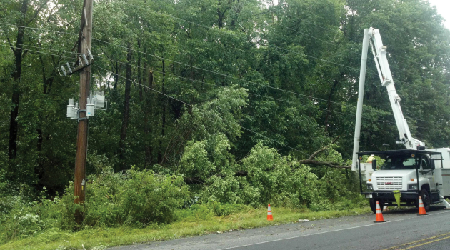 A contractor crew works to remove tree limbs that have fallen on DEC power lines.