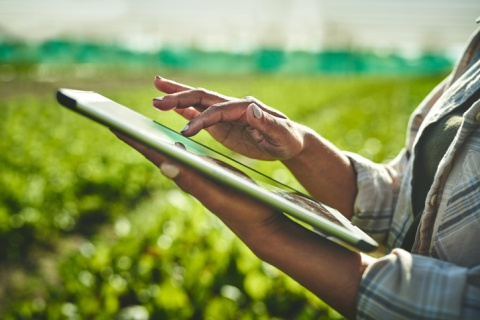 Farmer with tablet