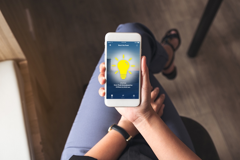 Delaware Electric Cooperative We keep the lights on